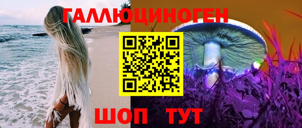 Анжеро-Судженск  Псилоцибиновые грибы GOLDEN TEACHER  Вход с VPN 