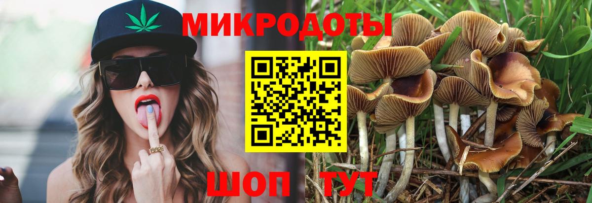 Псилоцибиновые грибы Cubensis Анжеро-Судженск